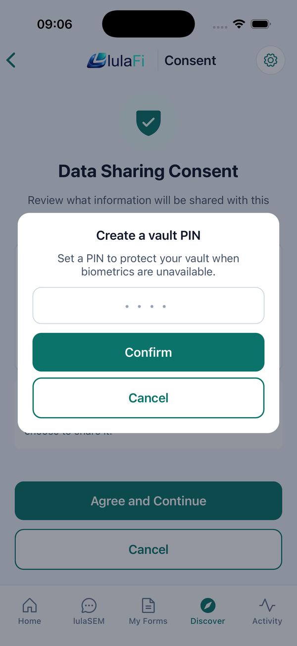 Consent → vault PIN (first time only) → auto-filled form